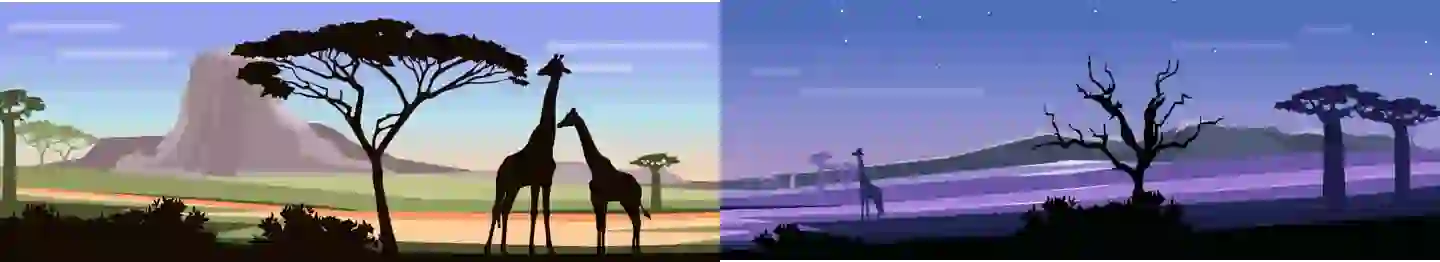 Angola illustration thumbnail