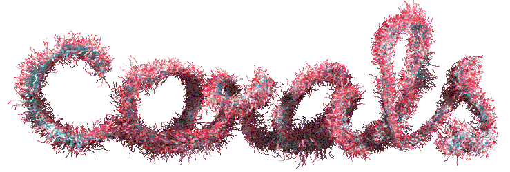 Animated coral motif used in the Fishwonders identity