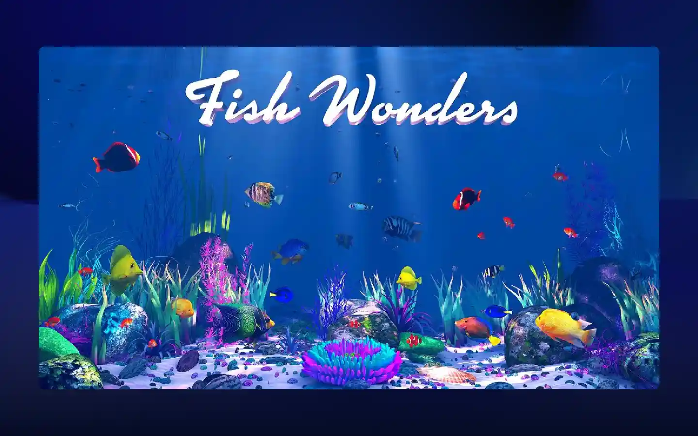 Fish Wonders poster thumbnail