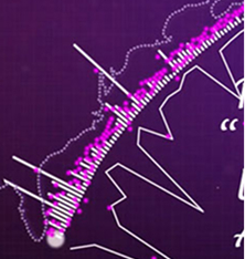 Rock waveform close-up